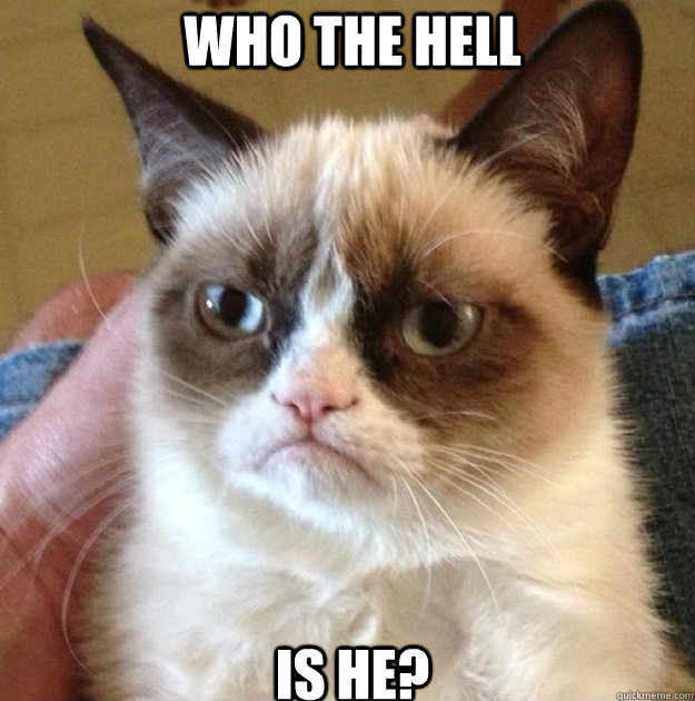 who the hell is he - Grumpy Cat