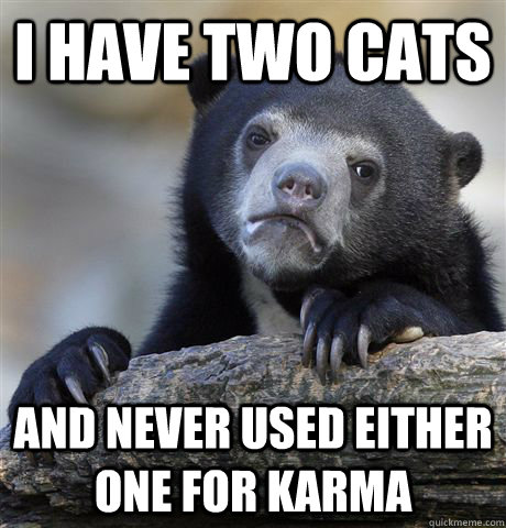 i have two cats and never used either one for karma - Confession Bear