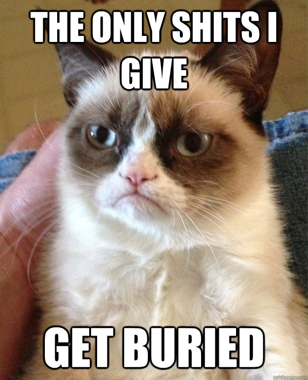 the only shits i give get buried - Grumpy Cat