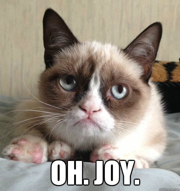 oh joy - Grumpy Cat