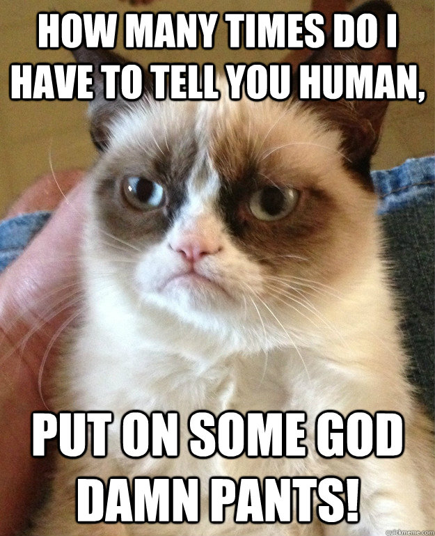 how many times do i have to tell you human put on some god - cat had fun once