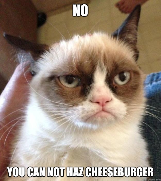 No You can not haz cheeseburger - Grumpy Cat