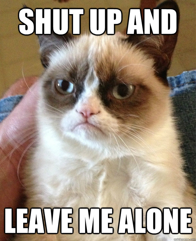 shut up and leave me alone - cat had fun once
