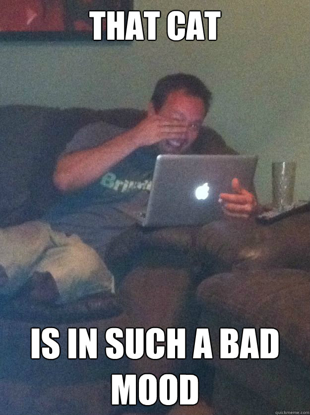 that cat is in such a bad mood - Screenshot Meme Dad