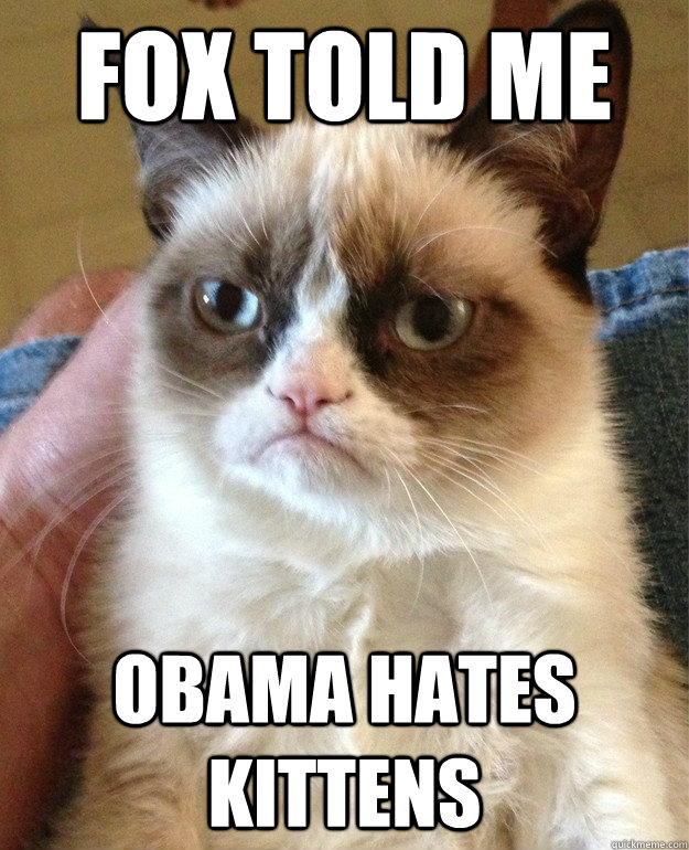 fox told me obama hates kittens - Grumpy cat