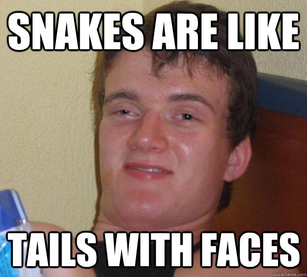 snakes are like tails with faces - 10 Guy