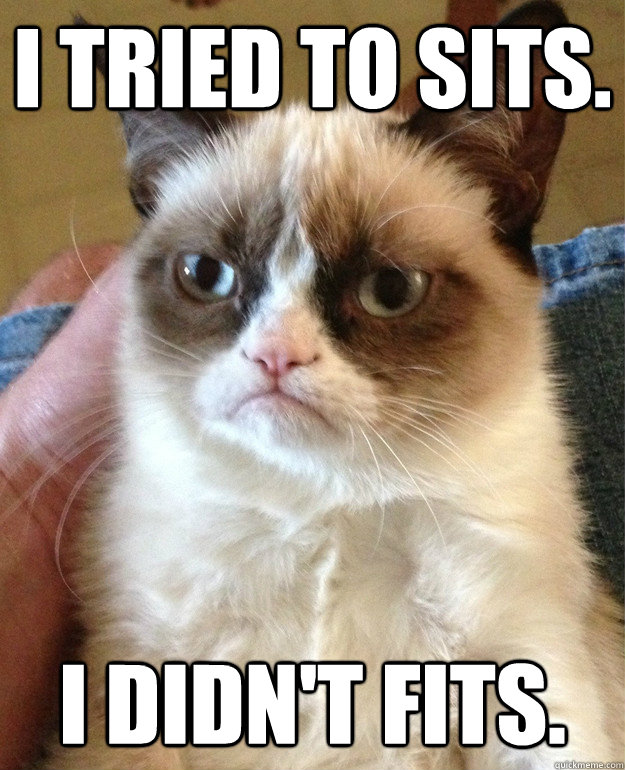 i tried to sits i didnt fits - Grumpy cat