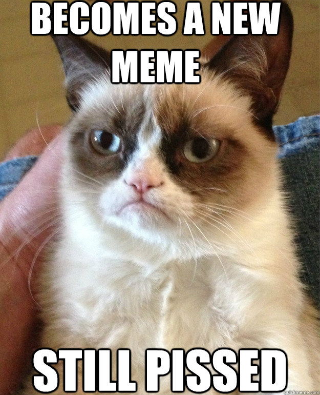 becomes a new meme still pissed - Grumpy cat
