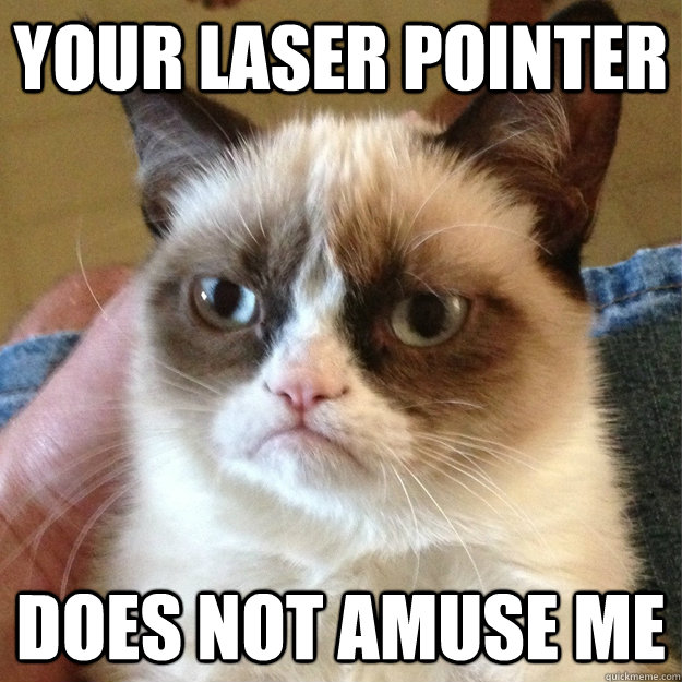 your laser pointer does not amuse me - Grumpy Cat