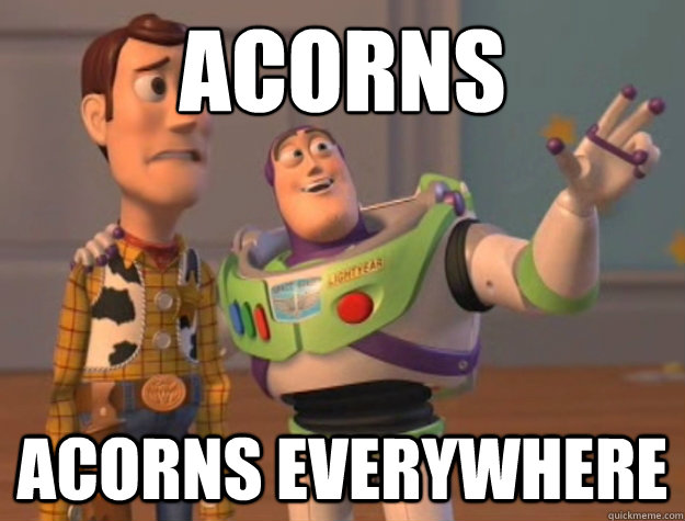 acorns acorns everywhere - Buzz Lightyear