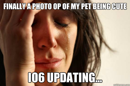 finally a photo op of my pet being cute io6 updating - First World Problems