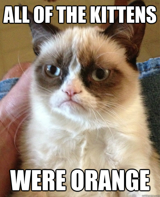all of the kittens were orange - Grumpy cat