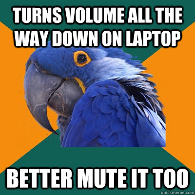 turns volume all the way down on laptop better mute it too - Paranoid Parrot