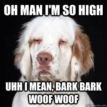 oh man im so high uhh i mean bark bark woof woof - stoner dog
