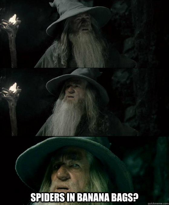 spiders in banana bags - Confused Gandalf