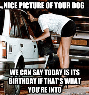 nice picture of your dog we can say today is its birthday if - Karma Whore