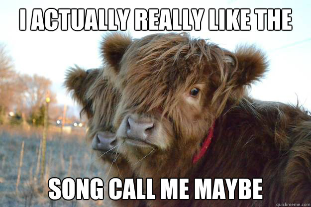 i actually really like the song call me maybe - Confession Cattle