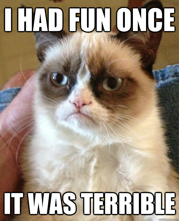 i had fun once it was terrible - Grumpy Cat
