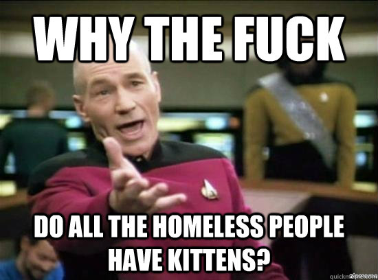 why the fuck do all the homeless people have kittens - why the fuck picard