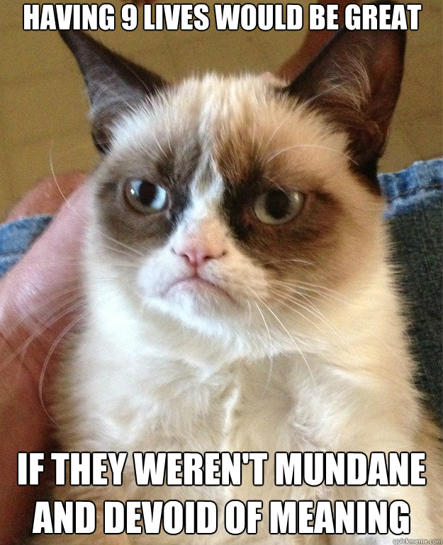 having 9 lives would be great if they werent mundane and de - Grumpy Cat