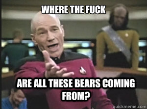 where the fuck are all these bears coming from - Annoyed Picard