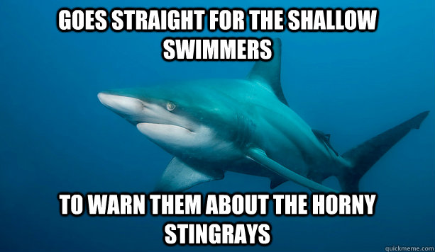 goes straight for the shallow swimmers to warn them about th -