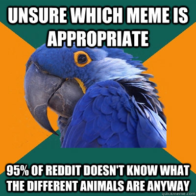 unsure which meme is appropriate 95 of reddit doesnt know - Paranoid Parrot