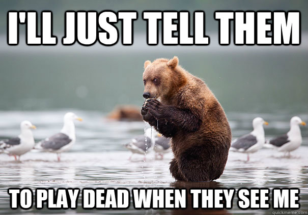 ill just tell them to play dead when they see me - Evil Scheme Bear
