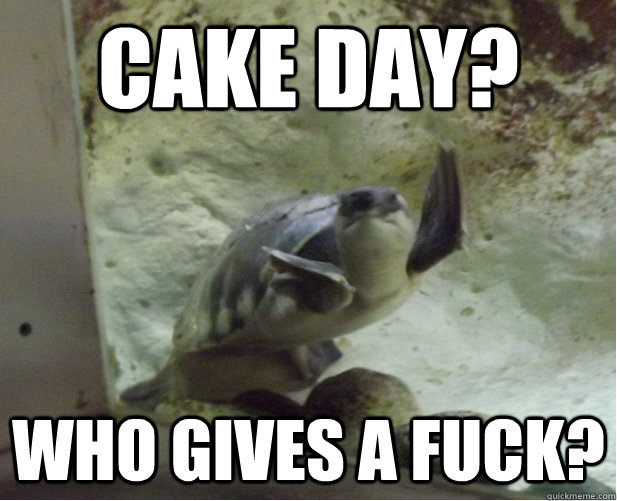 cake day who gives a fuck - Give up Turtle