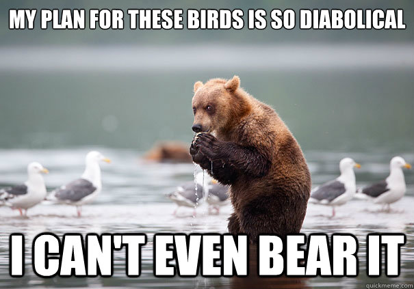 my plan for these birds is so diabolical i cant even bear i -
