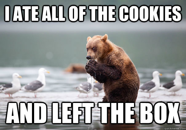 i ate all of the cookies and left the box - Evil Bear