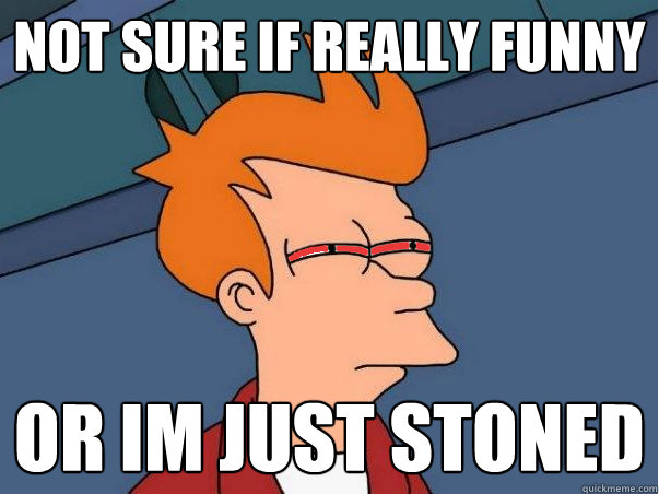not sure if really funny or im just stoned - High Fry