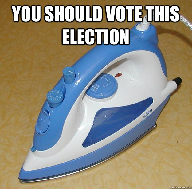you should vote this election -