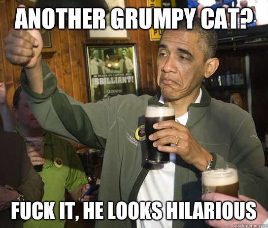 Another grumpy cat Fuck it he looks hilarious - Upvoting Obama