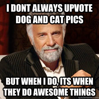 i dont always upvote dog and cat pics but when i do its whe - I Dont Always Call Radio Stations