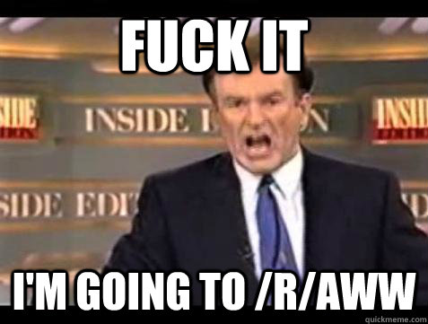 fuck it im going to raww - Bill OReilly Fuck It