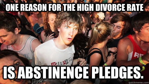 one reason for the high divorce rate is abstinence pledges - Sudden Clarity Clarence