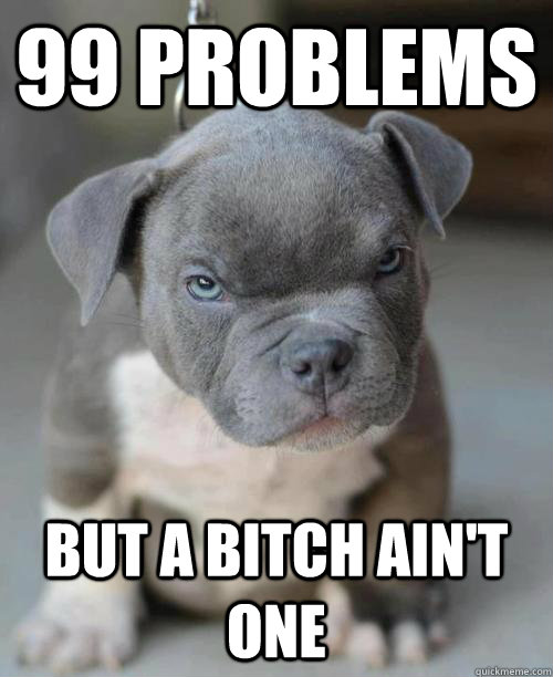 99 problems but a bitch aint one -