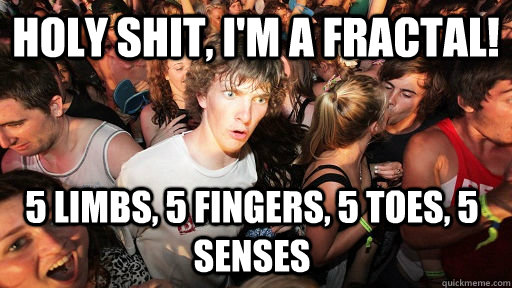 holy shit im a fractal 5 limbs 5 fingers 5 toes 5 sens - Sudden Clarity Clarence