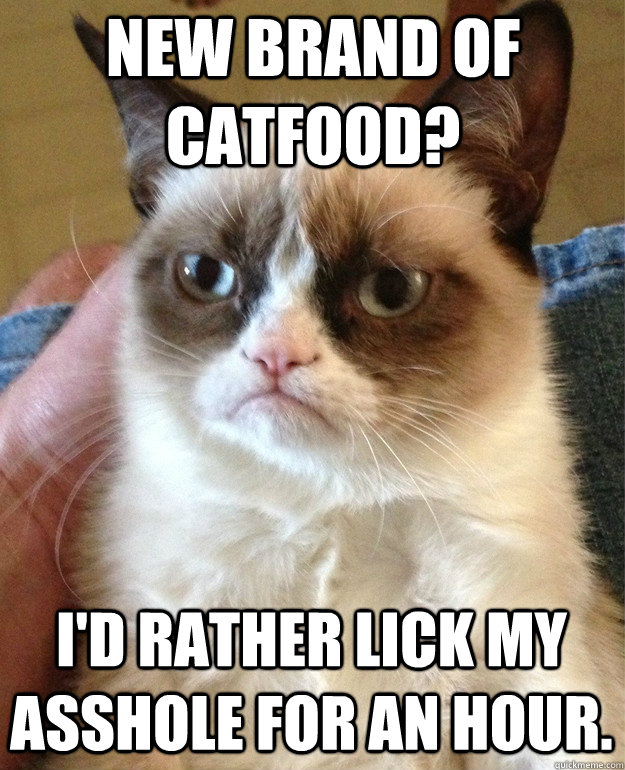 new brand of catfood id rather lick my asshole for an hour - Grumpy Cat