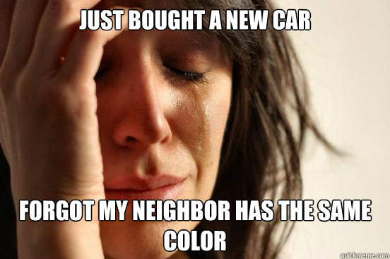 just bought a new car forgot my neighbor has the same color - First World Problems