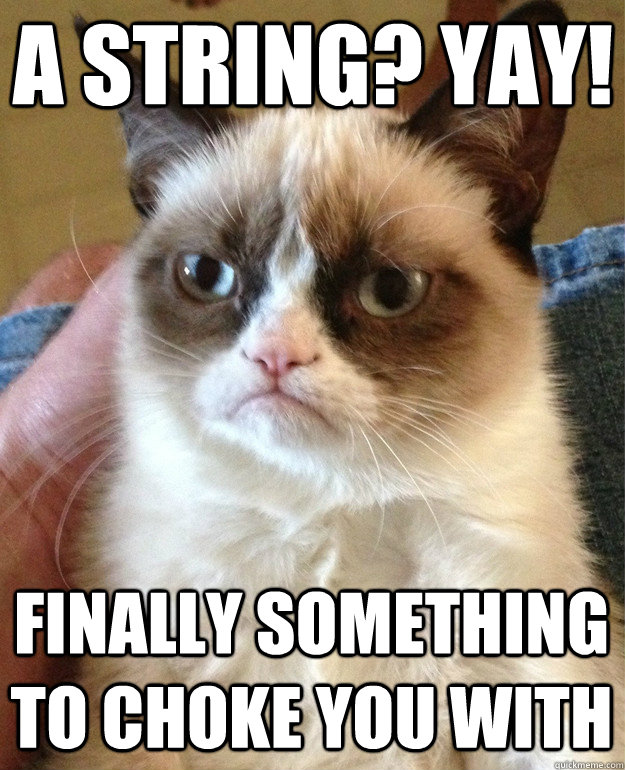a string yay finally something to choke you with - Grumpy Cat