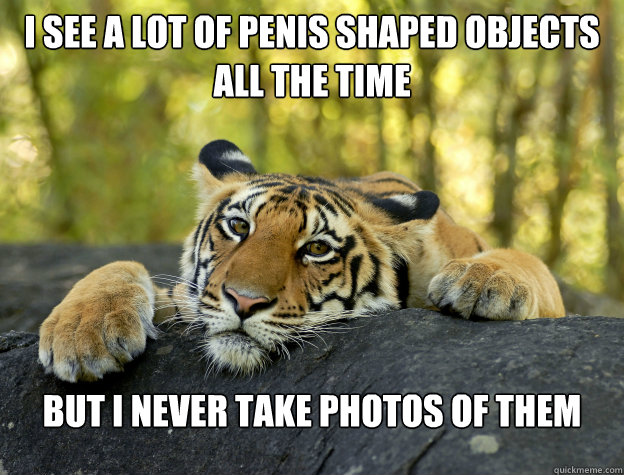 i see a lot of penis shaped objects all the time but i never - Confession Tiger