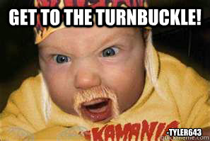 get to the turnbuckle tyler643 - Hulk Hogan Babeh