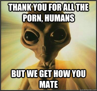 thank you for all the porn humans but we get how you mate - Thanks But No Thanks ET