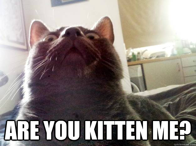 are you kitten me - SWEET BABY JEEBUS
