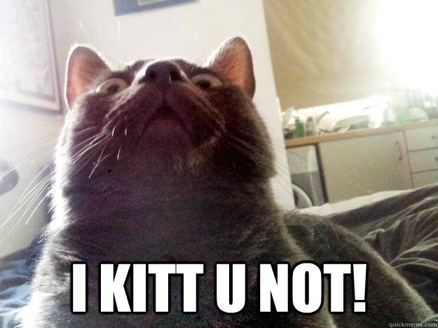i kitt u not - SWEET BABY JEEBUS
