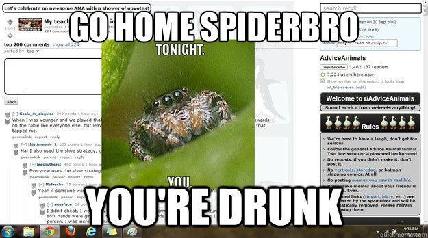 go home spiderbro youre drunk -