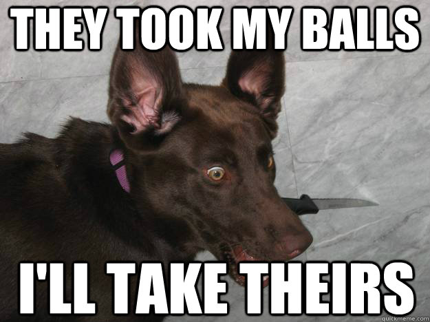 they took my balls ill take theirs - Psychopathic Dog