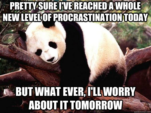 pretty sure ive reached a whole new level of procrastinatio - Procrastination Panda